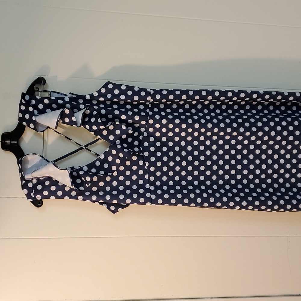 Venus Polka Dot High Low Dress 2X